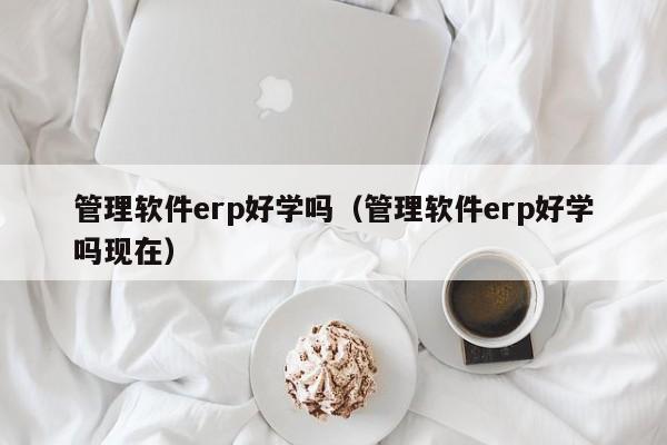 管理软件erp好学吗（管理软件erp好学吗现在）