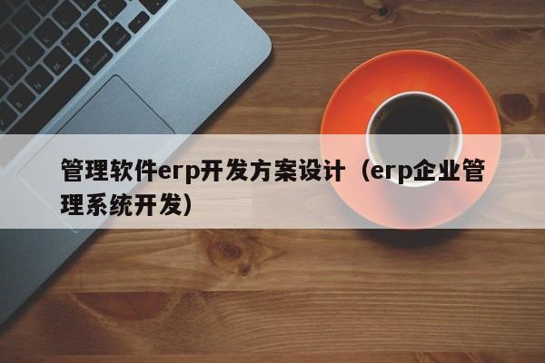 管理软件erp开发方案设计（erp企业管理系统开发）