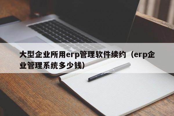 大型企业所用erp管理软件续约（erp企业管理系统多少钱）