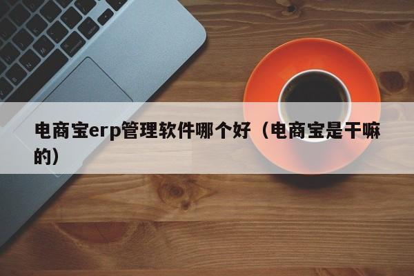 电商宝erp管理软件哪个好（电商宝是干嘛的）