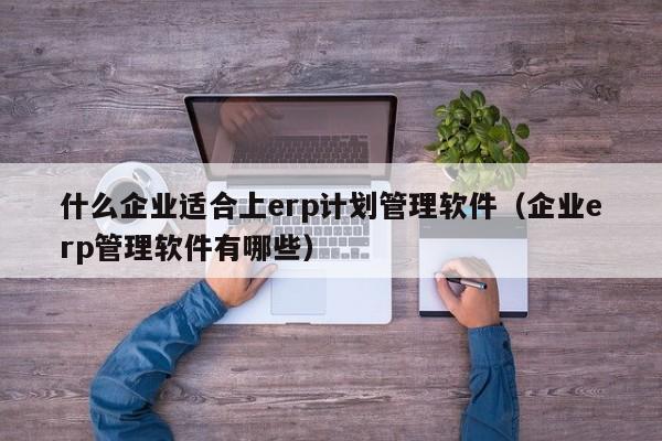 什么企业适合上erp计划管理软件（企业erp管理软件有哪些）