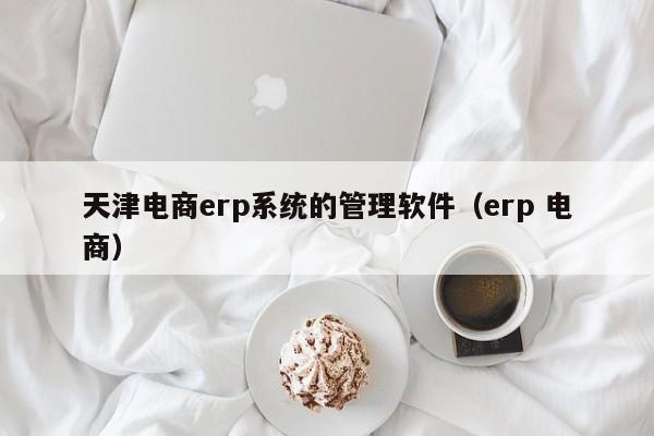 天津电商erp系统的管理软件（erp 电商）