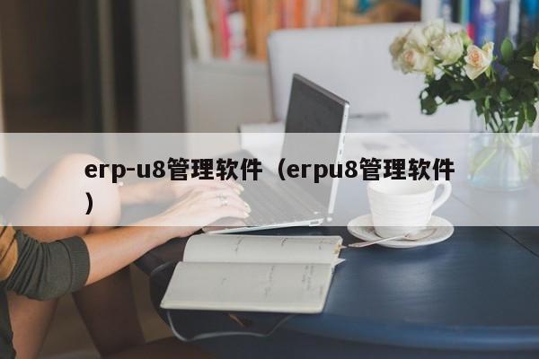 erp-u8管理软件（erpu8管理软件）