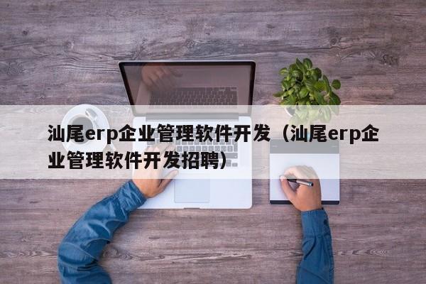 汕尾erp企业管理软件开发（汕尾erp企业管理软件开发招聘）