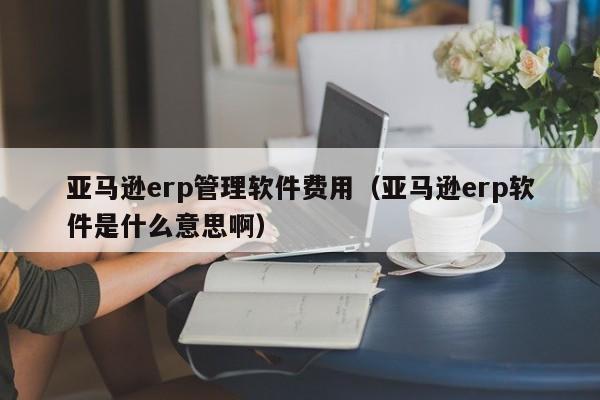 亚马逊erp管理软件费用（亚马逊erp软件是什么意思啊）