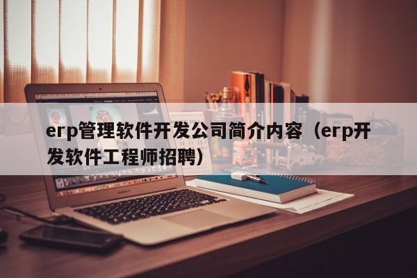 erp管理软件开发公司简介内容（erp开发软件工程师招聘）