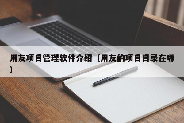 用友项目管理软件介绍（用友的项目目录在哪）