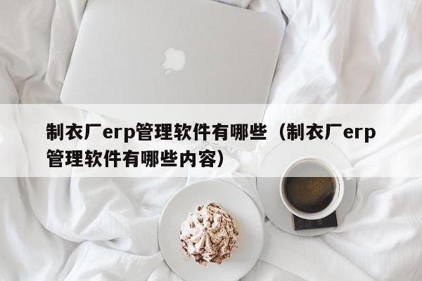 制衣厂erp管理软件有哪些（制衣厂erp管理软件有哪些内容）