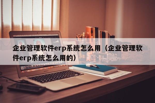 企业管理软件erp系统怎么用（企业管理软件erp系统怎么用的）