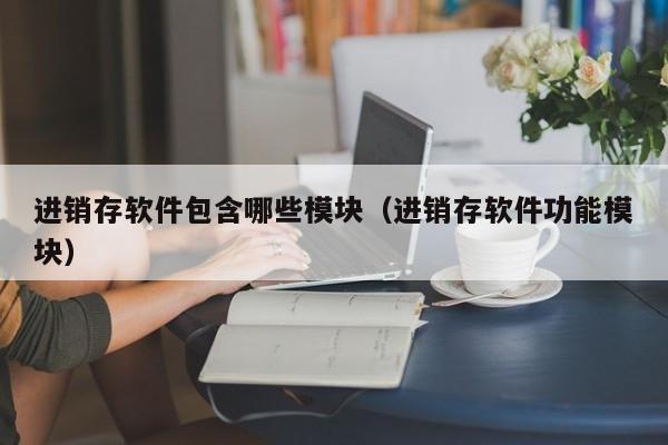 进销存软件包含哪些模块（进销存软件功能模块）