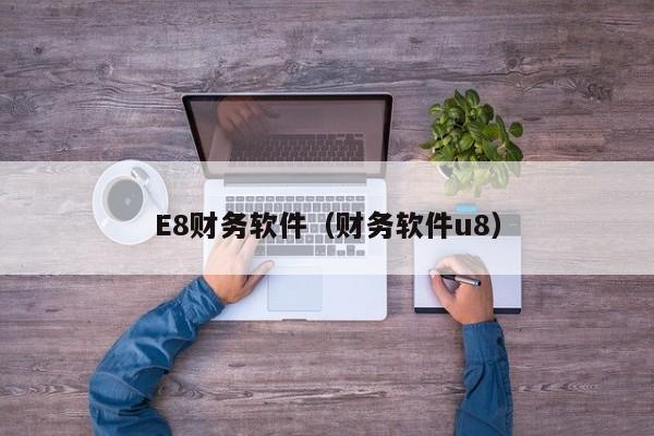 E8财务软件（财务软件u8）