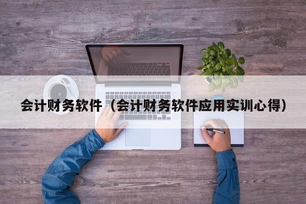 会计财务软件（会计财务软件应用实训心得）