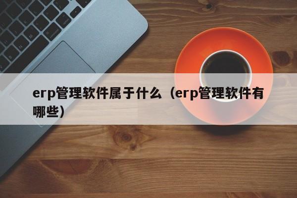 erp管理软件属于什么（erp管理软件有哪些）