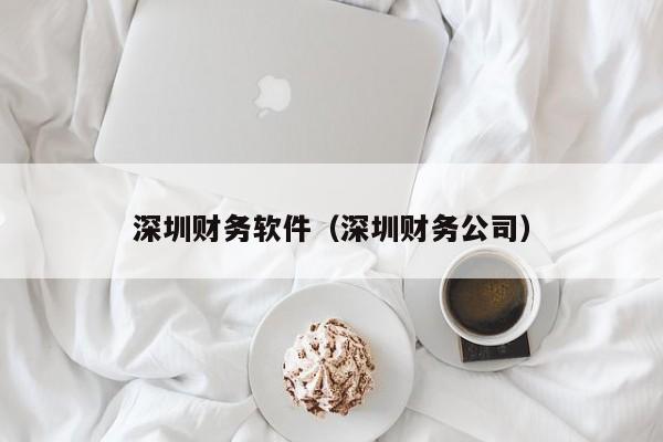 深圳财务软件（深圳财务公司）