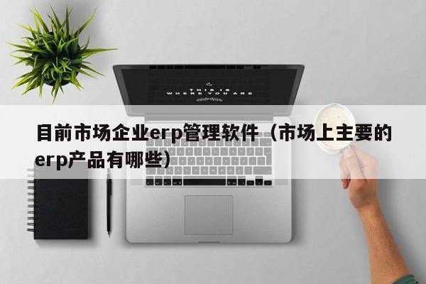 目前市场企业erp管理软件（市场上主要的erp产品有哪些）