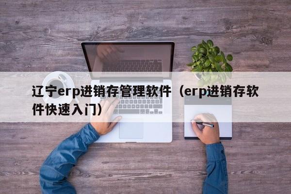 辽宁erp进销存管理软件（erp进销存软件快速入门）