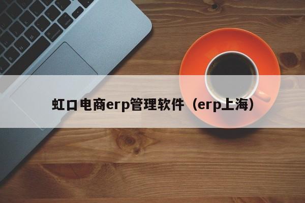 虹口电商erp管理软件（erp上海）