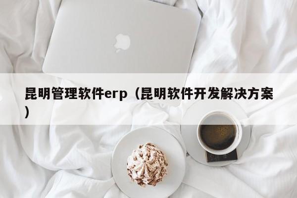 昆明管理软件erp（昆明软件开发解决方案）