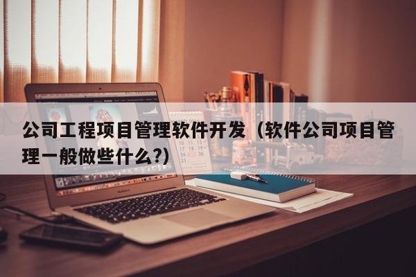 公司工程项目管理软件开发（软件公司项目管理一般做些什么?）