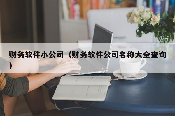 财务软件小公司（财务软件公司名称大全查询）