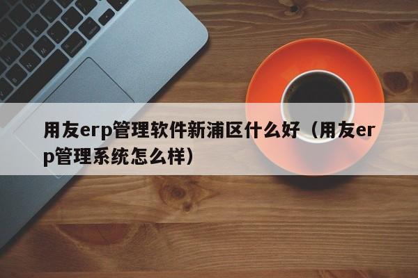 用友erp管理软件新浦区什么好（用友erp管理系统怎么样）