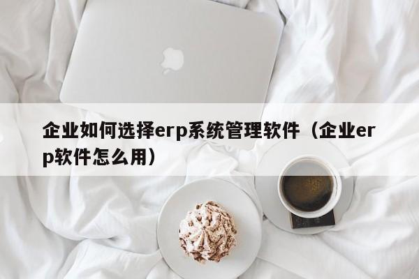 企业如何选择erp系统管理软件（企业erp软件怎么用）