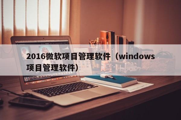 2016微软项目管理软件（windows项目管理软件）