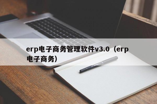 erp电子商务管理软件v3.0（erp 电子商务）