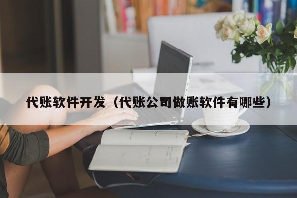 代账软件开发（代账公司做账软件有哪些）