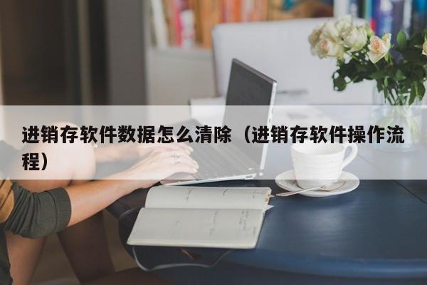 进销存软件数据怎么清除（进销存软件操作流程）