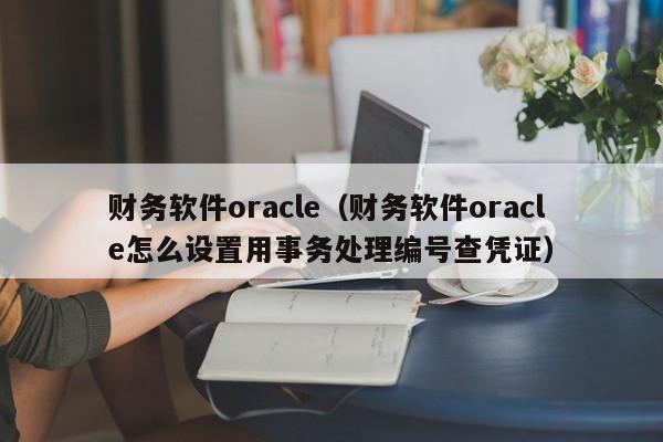 财务软件oracle（财务软件oracle怎么设置用事务处理编号查凭证）