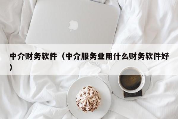 中介财务软件（中介服务业用什么财务软件好）