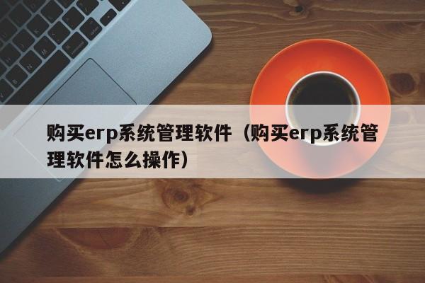 购买erp系统管理软件（购买erp系统管理软件怎么操作）