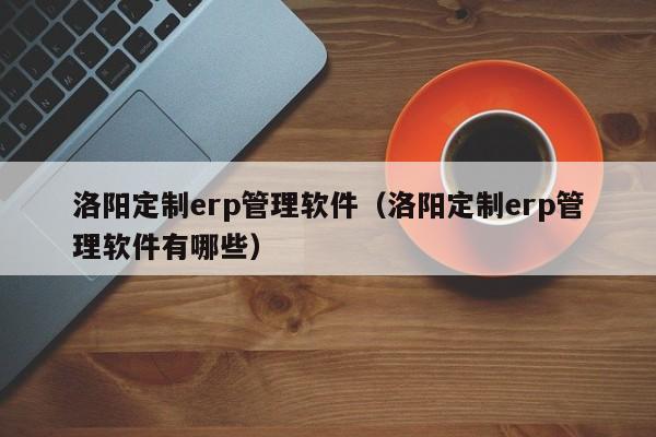 洛阳定制erp管理软件（洛阳定制erp管理软件有哪些）