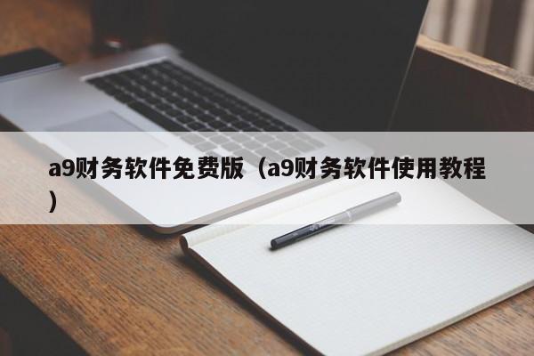 a9财务软件免费版（a9财务软件使用教程）