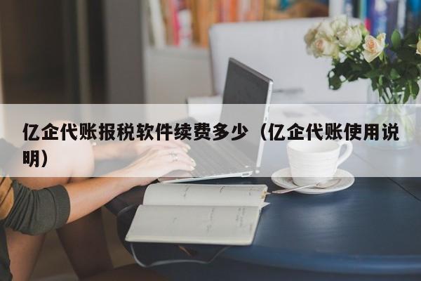 亿企代账报税软件续费多少（亿企代账使用说明）