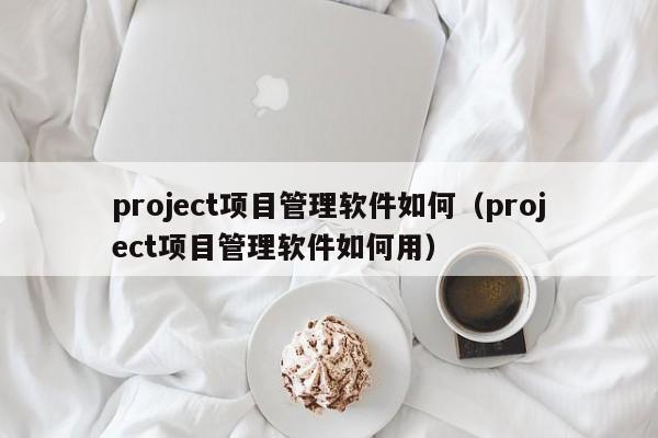 project项目管理软件如何（project项目管理软件如何用）