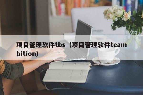 项目管理软件tbs（项目管理软件teambition）