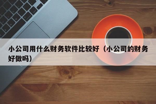 小公司用什么财务软件比较好（小公司的财务好做吗）