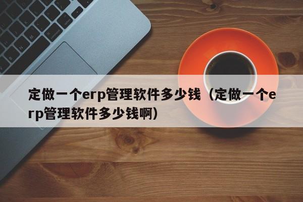 定做一个erp管理软件多少钱（定做一个erp管理软件多少钱啊）