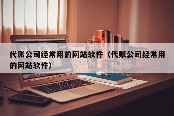 代账公司经常用的网站软件（代账公司经常用的网站软件）