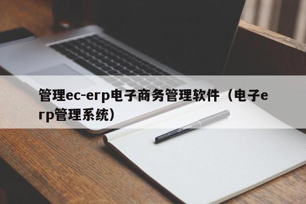 管理ec-erp电子商务管理软件（电子erp管理系统）