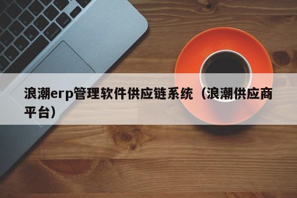 浪潮erp管理软件供应链系统（浪潮供应商平台）