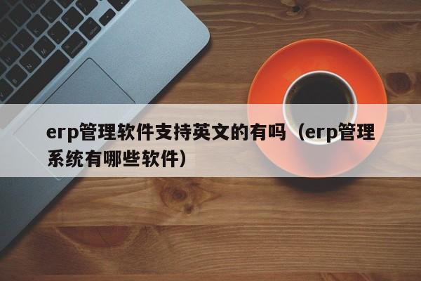 erp管理软件支持英文的有吗（erp管理系统有哪些软件）