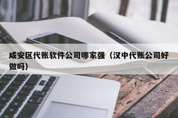 咸安区代账软件公司哪家强（汉中代账公司好做吗）