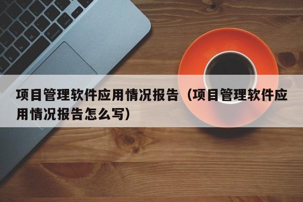 项目管理软件应用情况报告（项目管理软件应用情况报告怎么写）