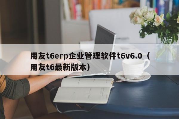 用友t6erp企业管理软件t6v6.0（用友t6最新版本）