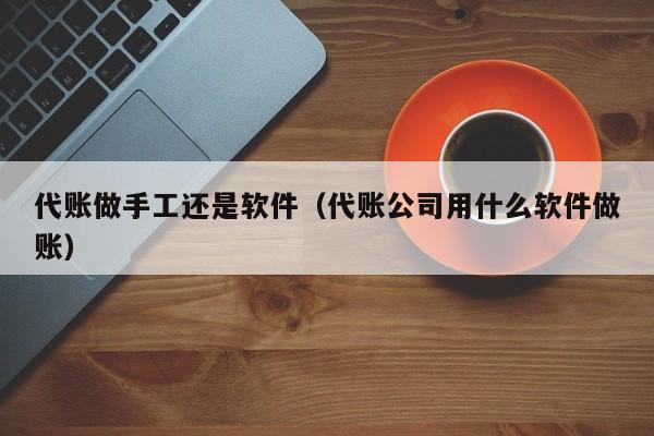 代账做手工还是软件（代账公司用什么软件做账）