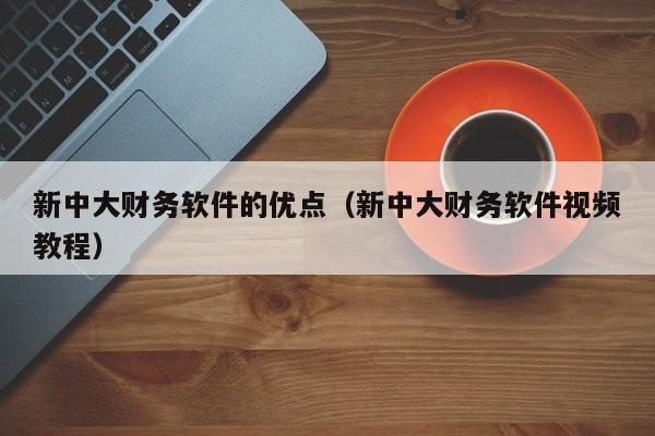 新中大财务软件的优点（新中大财务软件视频教程）