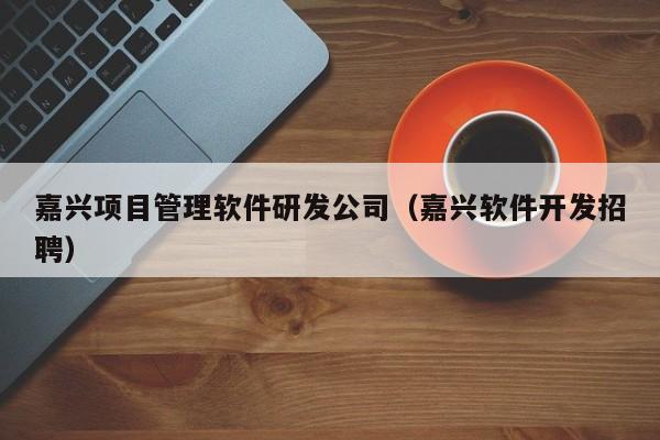 嘉兴项目管理软件研发公司（嘉兴软件开发招聘）